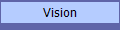 Vision